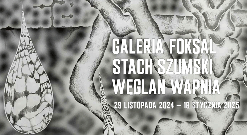 29 listopada | Stach Szumski „Węglan wapnia”, Galeria Foksal